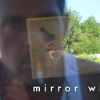 mirrorwindows_7