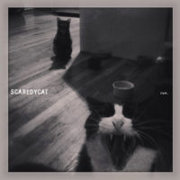 Scaredycat – “run.”